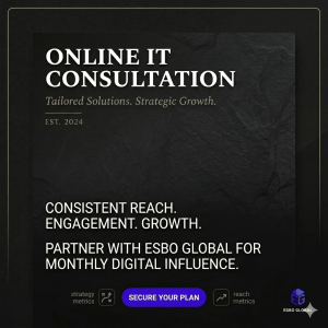 Online IT Consultation-1 hr